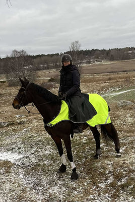 Customer in a snowy feild on her bay horse wrapped up warm, she is wearing her riding skirt and a big warm coat.