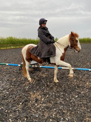 Customer wearing her Moorland riding skirt while on her skewbald pony doing a spanish walk.