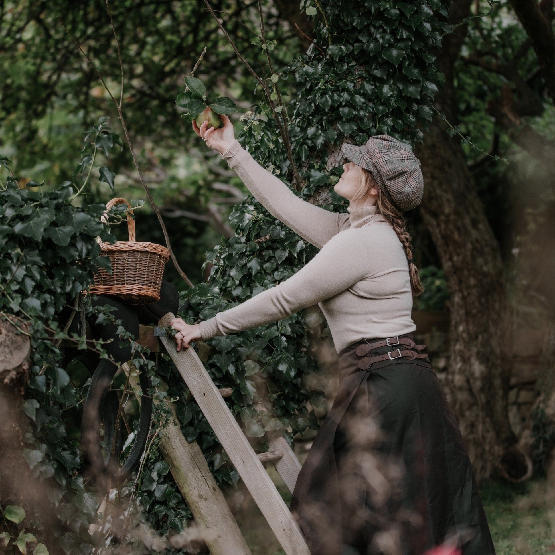Woman climbing a wooden ladder to collect apples while wearing her British made waterproof habit.